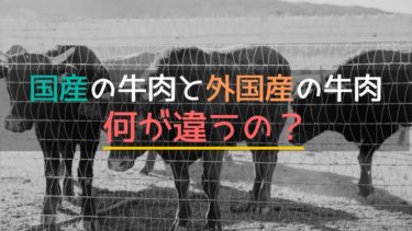 国産の牛肉と外国産の牛肉は何が違うの？