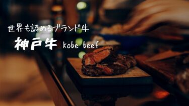 【神戸牛は兵庫県産のブランド牛】世界も認めるおいしさ「KOBE BEEF」