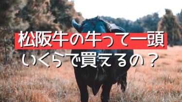 松阪牛の牛って一頭いくらで買える？何万円で競り落とされるのか調べてみた
